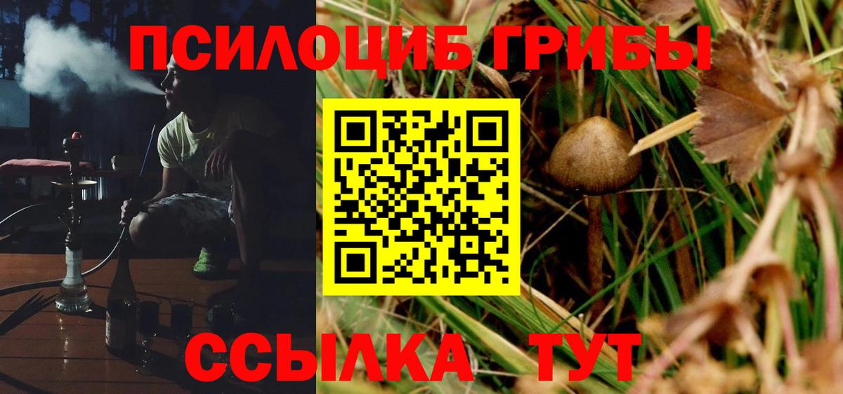 Рассказово  Псилоцибиновые грибы Psilocybine cubensis  Вход с VPN 